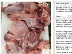 SINTEGO vai acionar SME para solucionar problemas no fornecimento de carne as escolas e Cmeis de Goiânia 