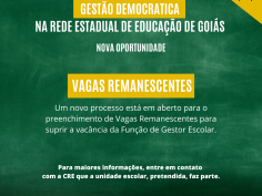 NOVA OPORTUNIDADE: GESTÃO DEMOCRATICA NA REDE ESTADUAL